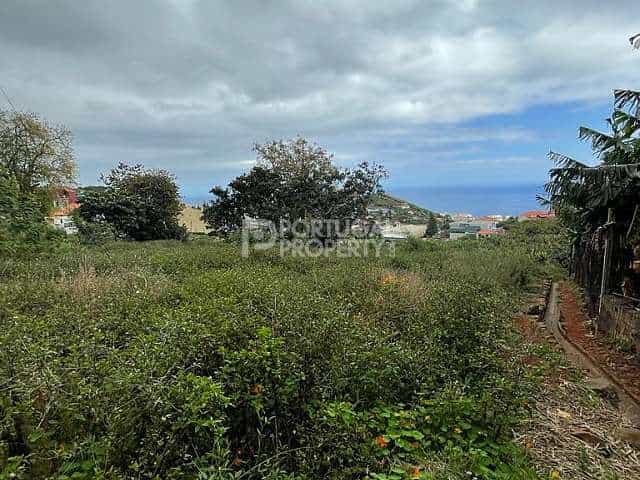 Tanah di Sao Roque, Madeira 10116787