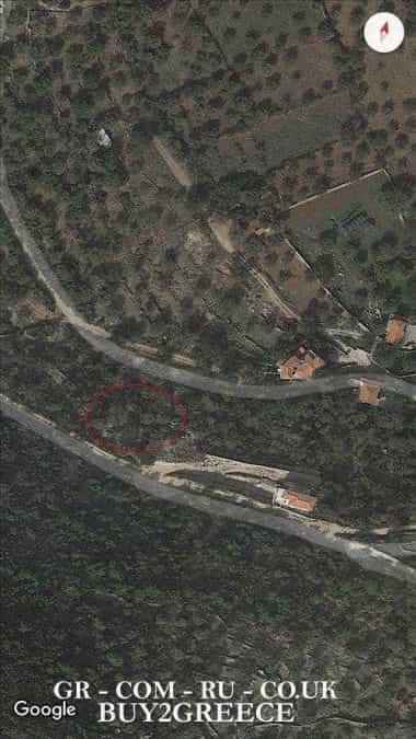 Land in Poulithra, Peloponnisos 10116885