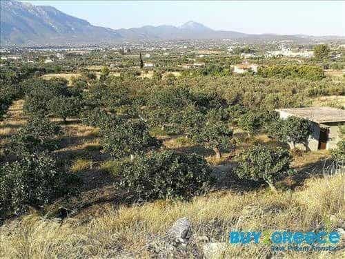 Land in Korinthos, Peloponnisos 10117019