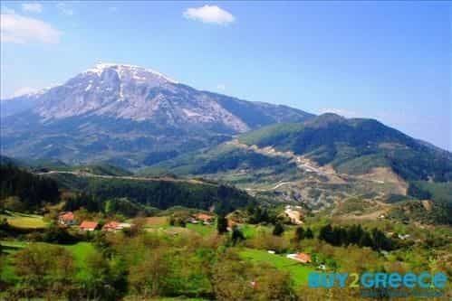 Land in Skoulikaria, Ipeiros 10117212