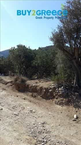 Maa sisään Naxos, Notio Aigaio 10117520