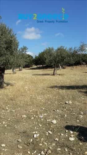 土地 在 Naxos, Notio Aigaio 10117520