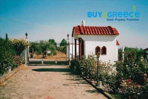 House in Andromachi, Kentriki Makedonia 10117536