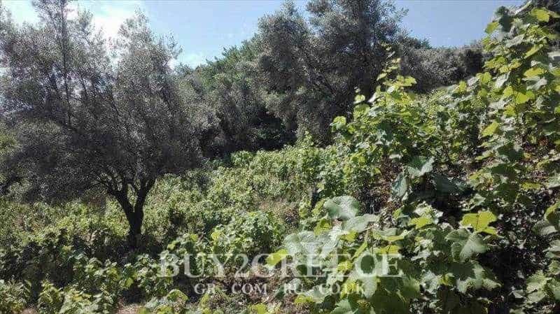 Land in Kalligonio, Ionia Nisia 10117732