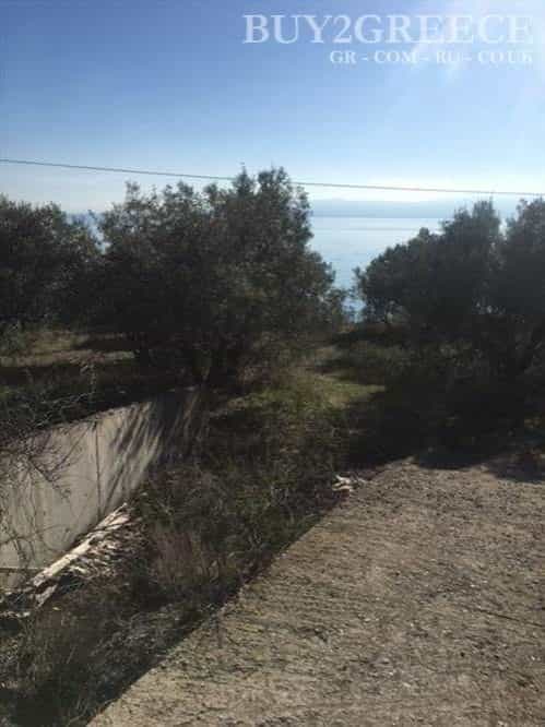Land in Agios Georgios Lichados,  10117796