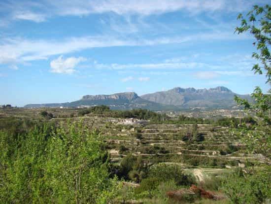 Land im Pedramala, Valencia 10118544