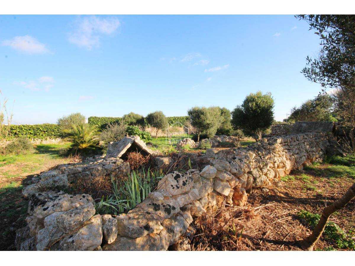Dom w Torret, Illes Balears 10118679