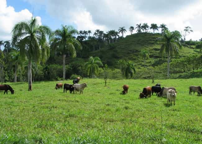 土地 在 巴拉瓜, Ciego de Avila 10120225