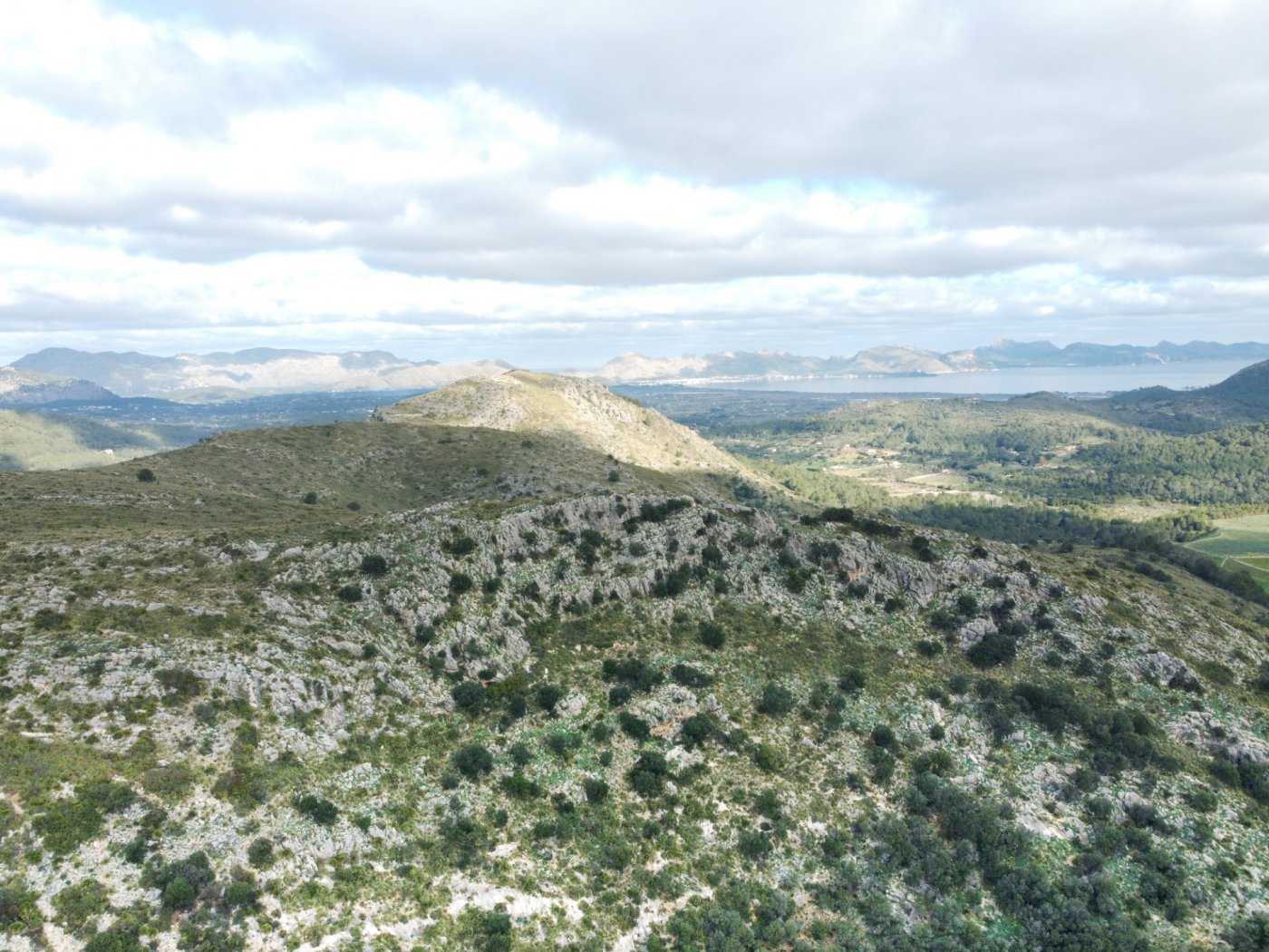 Кондоминиум в Alcúdia, Illes Balears 10124563