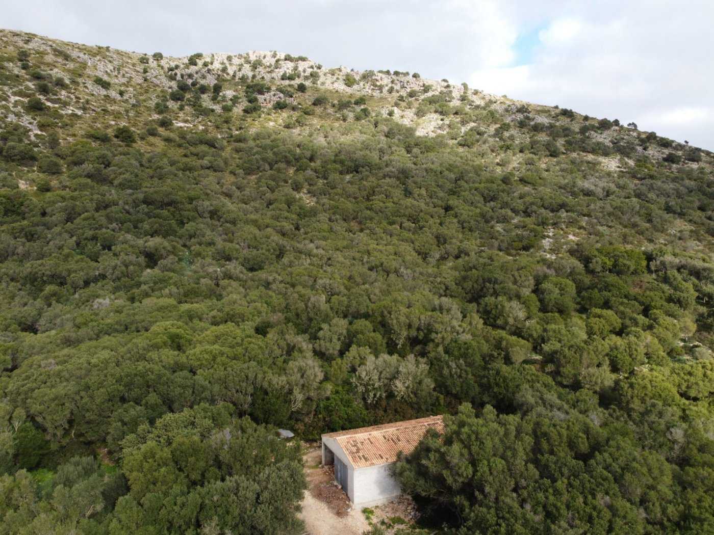 Kondominium dalam Alcúdia, Illes Balears 10124563
