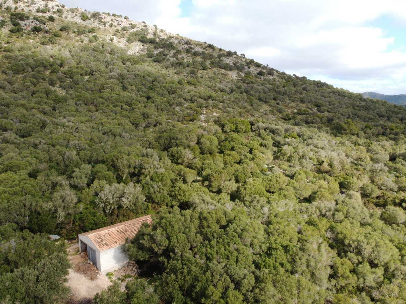 Кондоминиум в Alcúdia, Illes Balears 10124563