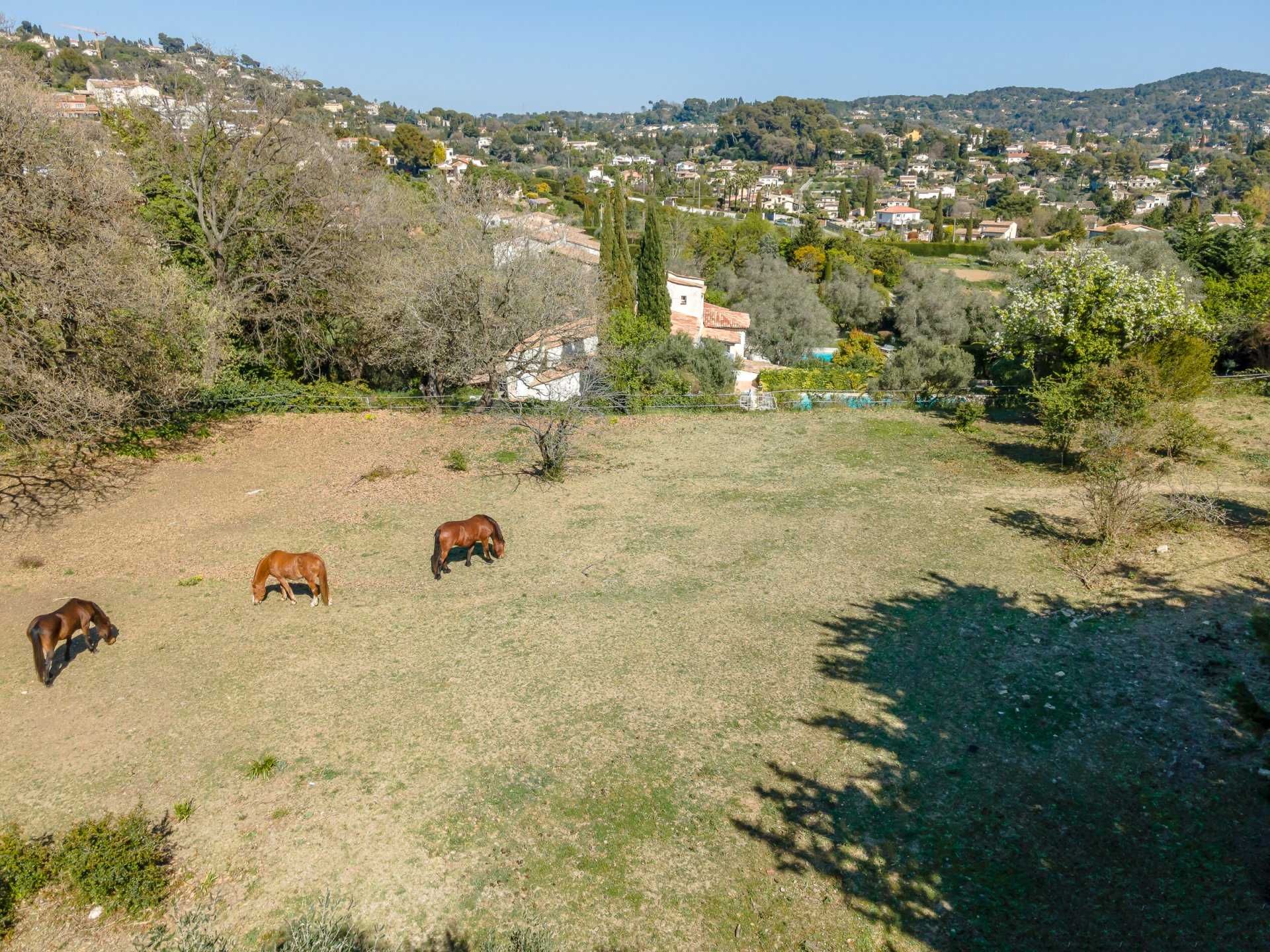 Haus im Mougins, Provence-Alpes-Côte d'Azur 10125270