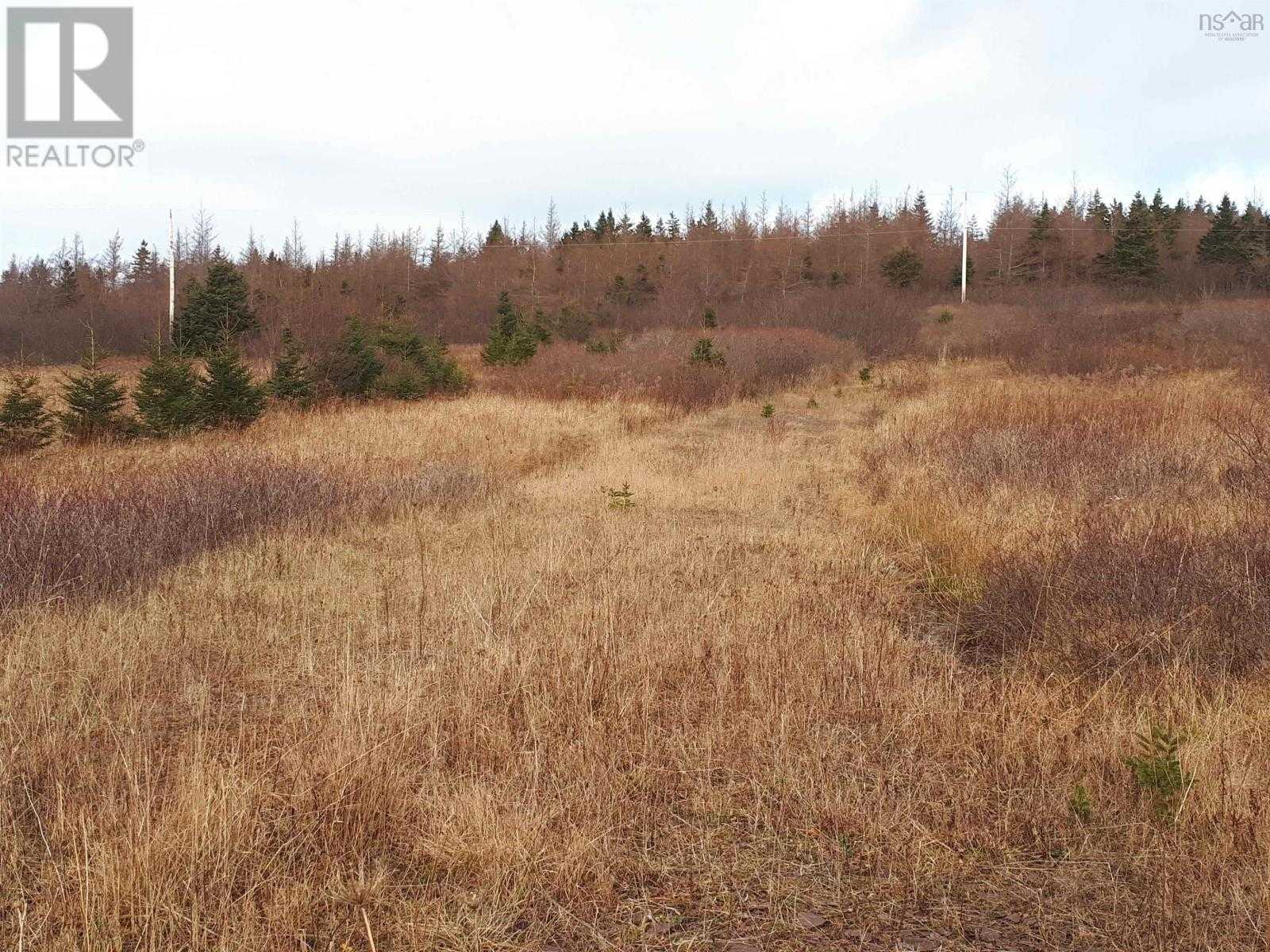 Land in Saint Peter's, Nova Scotia 10126886