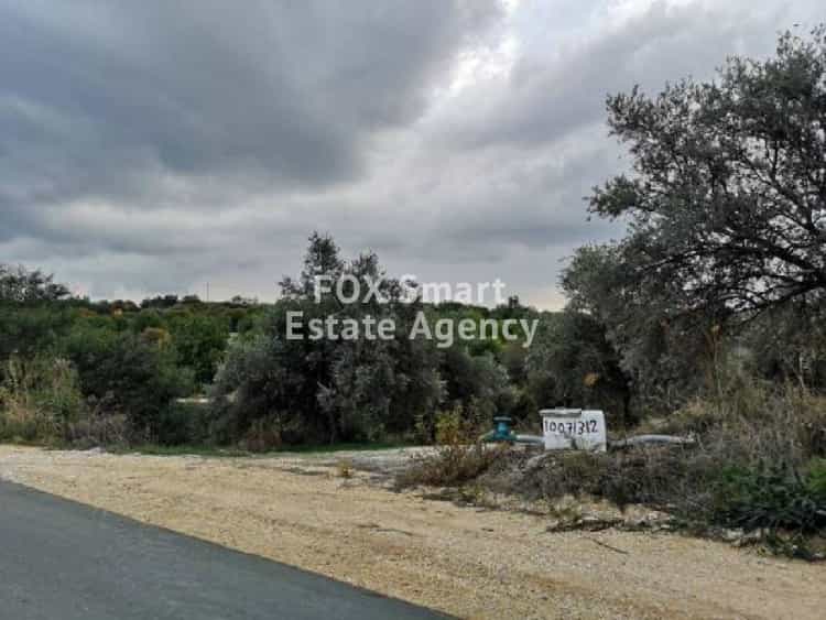 Tanah dalam Polis, Pafos 10126954