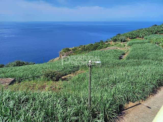 Land in Ponta Do Sol, Madeira 10129644