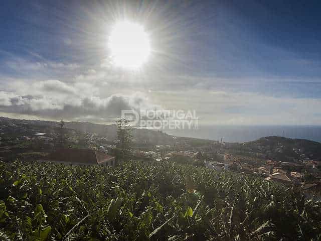 בַּיִת ב Câmara De Lobos, Madeira 10129652