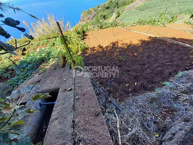 Land i Ponta Do Sol, Madeira 10130268