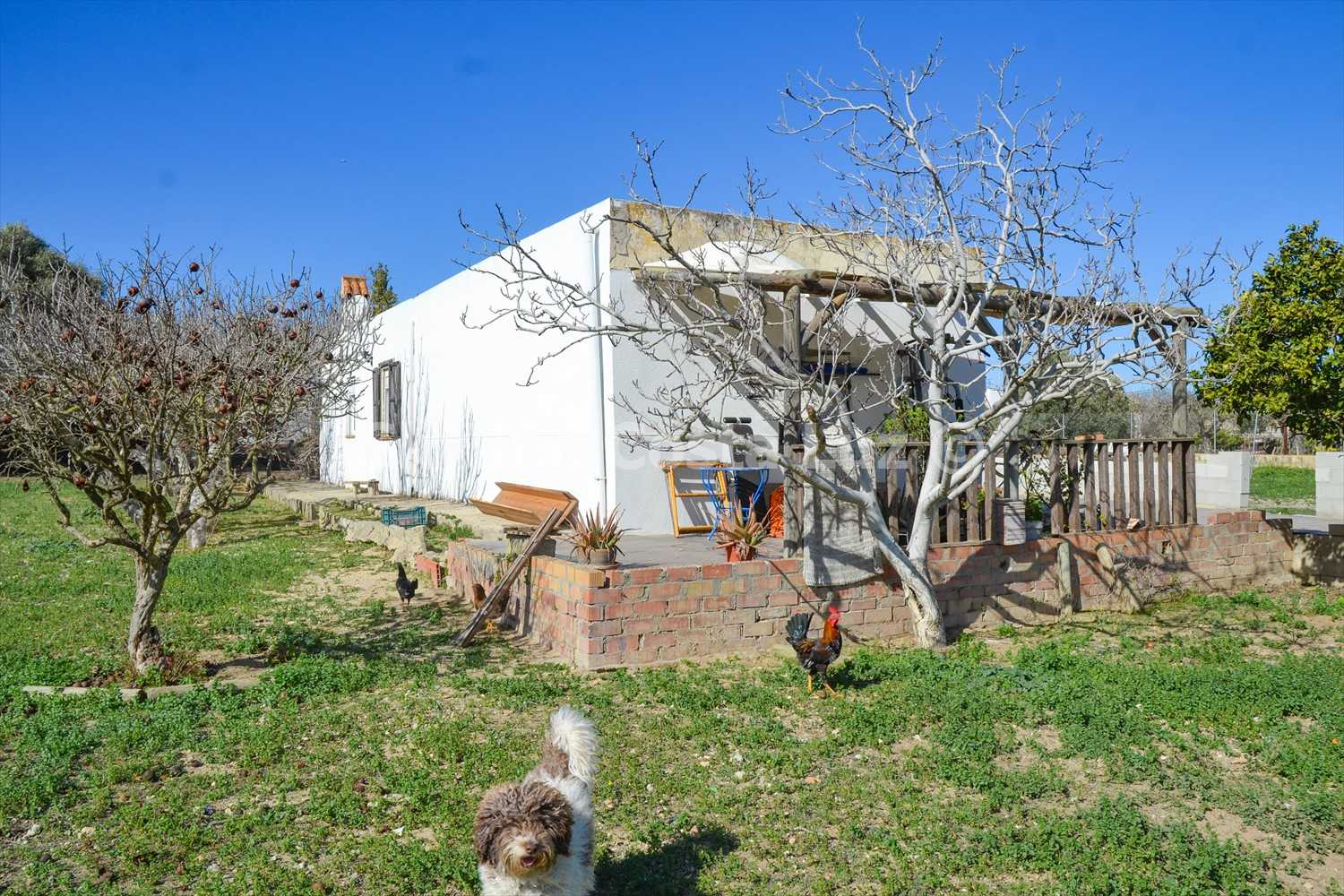 Huis in Chiclana de la Frontera, Andalusië 10131888