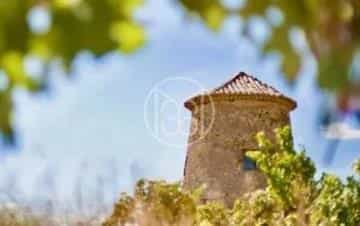 Dom w Lezignan-Corbieres, Occitanie 10133695