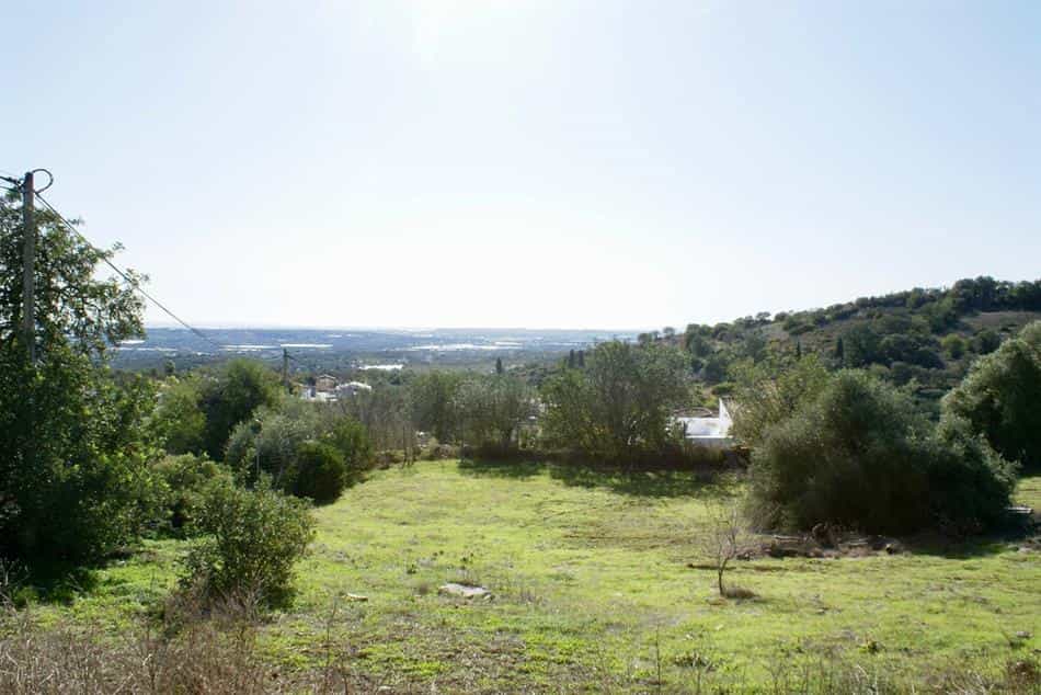 Land im Rossio ao Sul do Tejo, Santarem 10134224