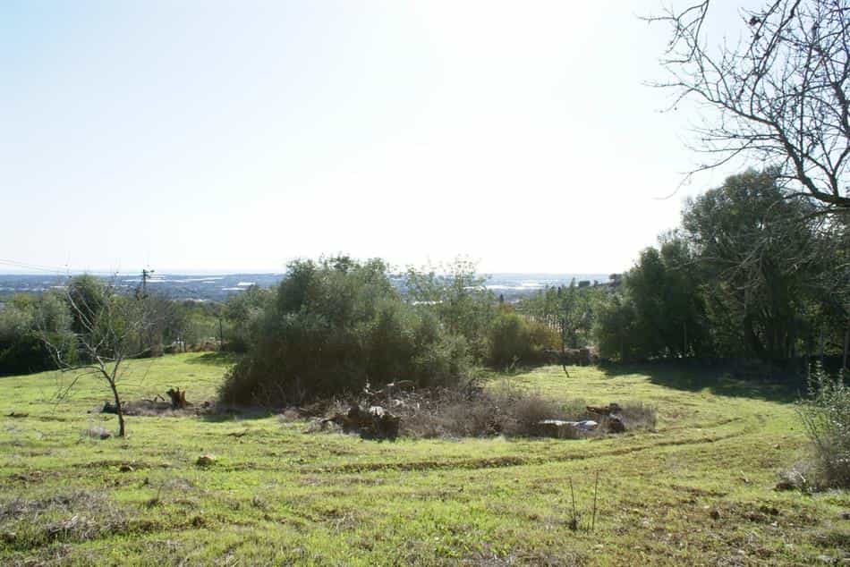 Land in Rossio ao Sul do Tejo, Santarem 10134224