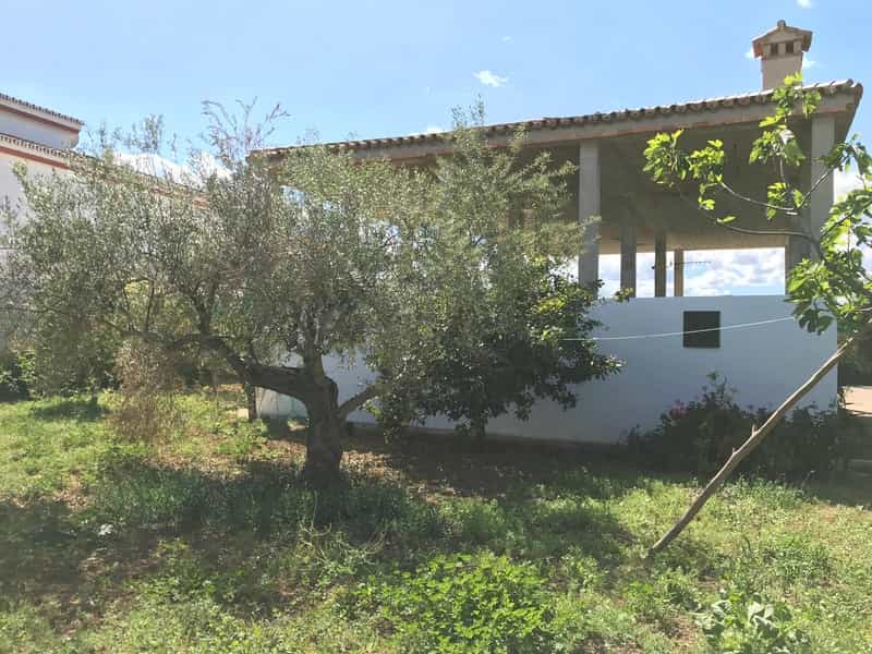 Land in Alhaurin el Grande, Andalusia 10140259