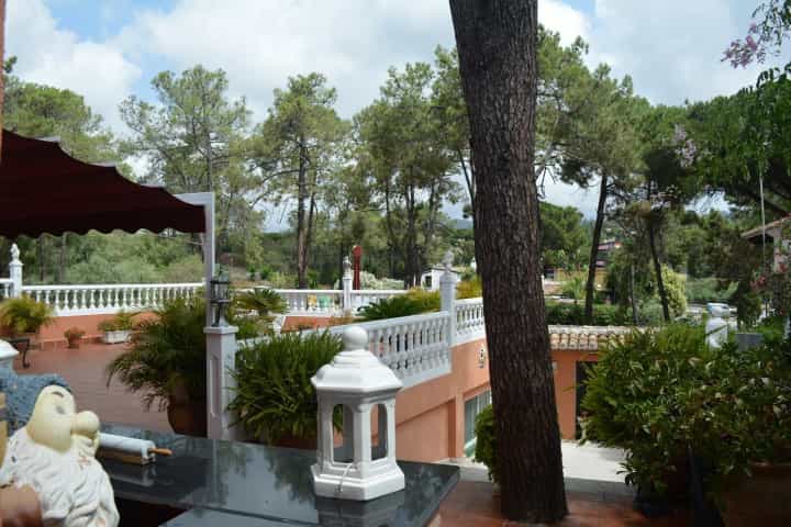 Casa nel Marbella, Andalusia 10141032
