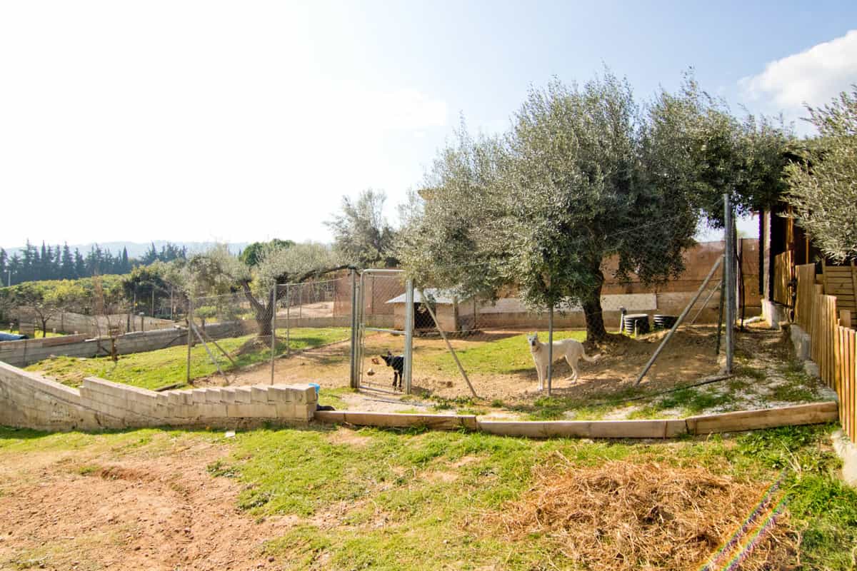 Tanah dalam Entrerríos, Extremadura 10141505