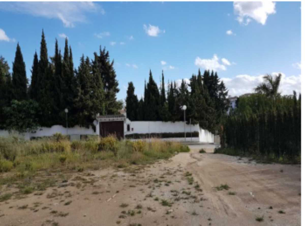 Land in El Angel, Andalusia 10142677