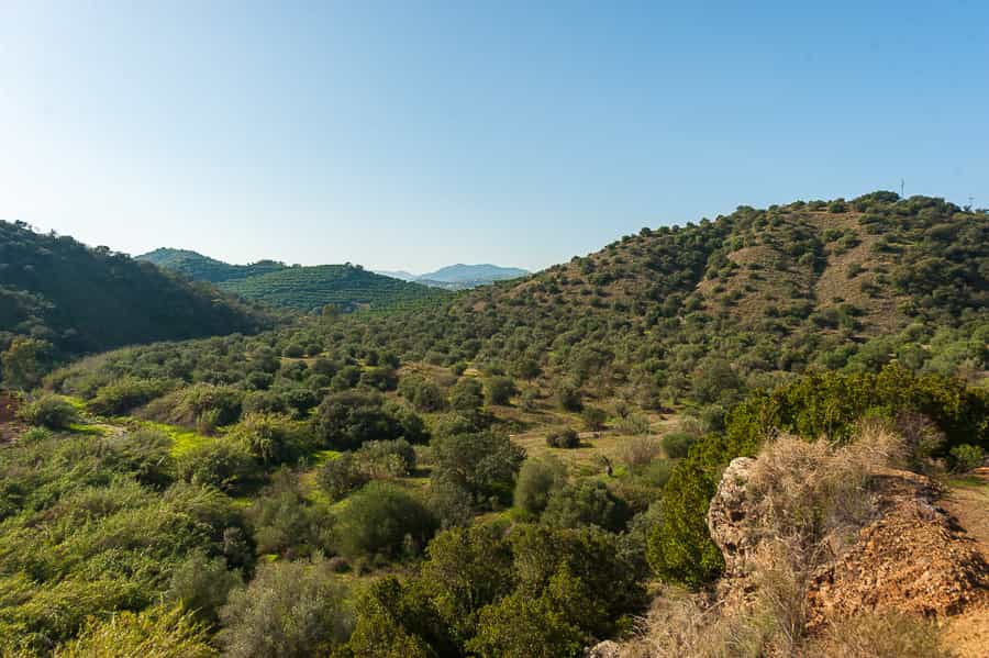 Land in Coín, Andalusia 10144460