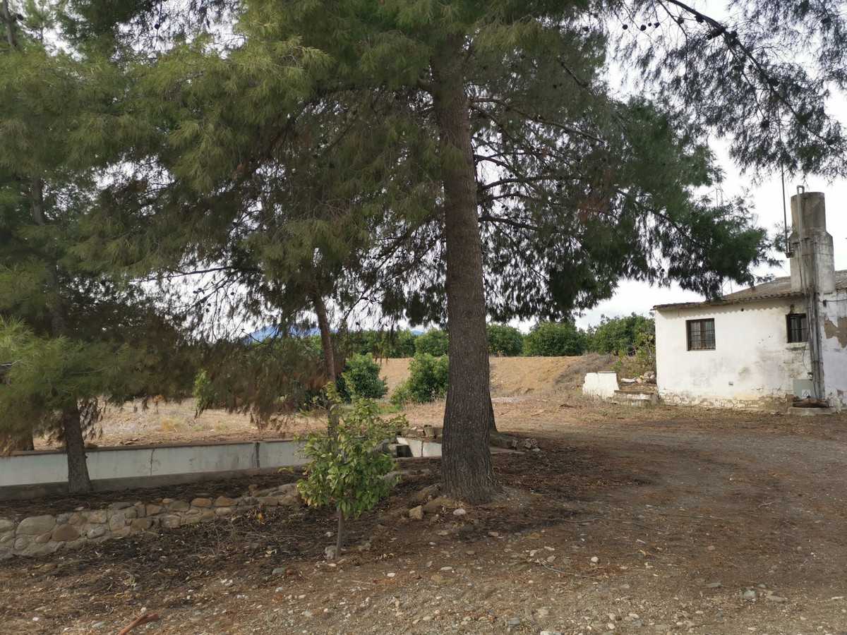 Land in Coín, Andalusia 10144470