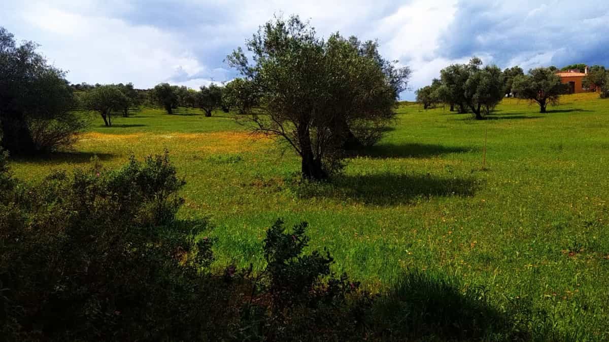 Tanah dalam , Andalucía 10144472