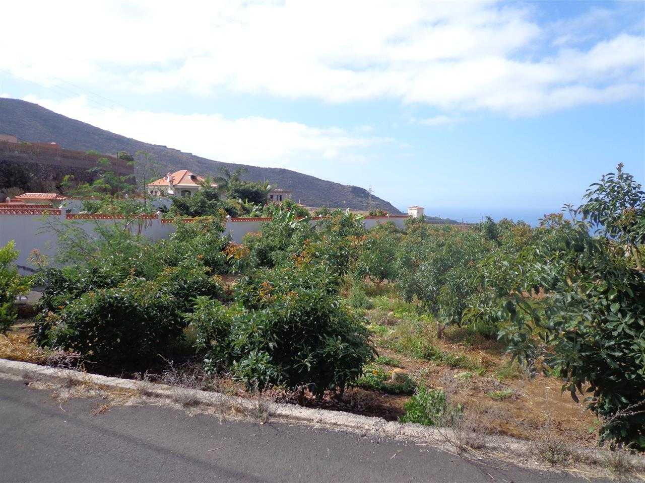 House in Puerto de Santiago, Canary Islands 10145733