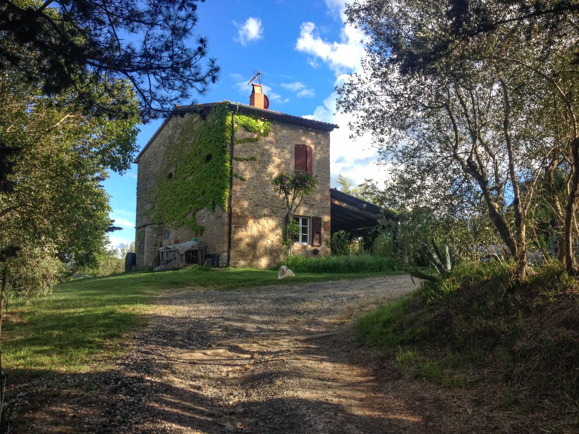 House in Casale Marittimo, Tuscany 10151123