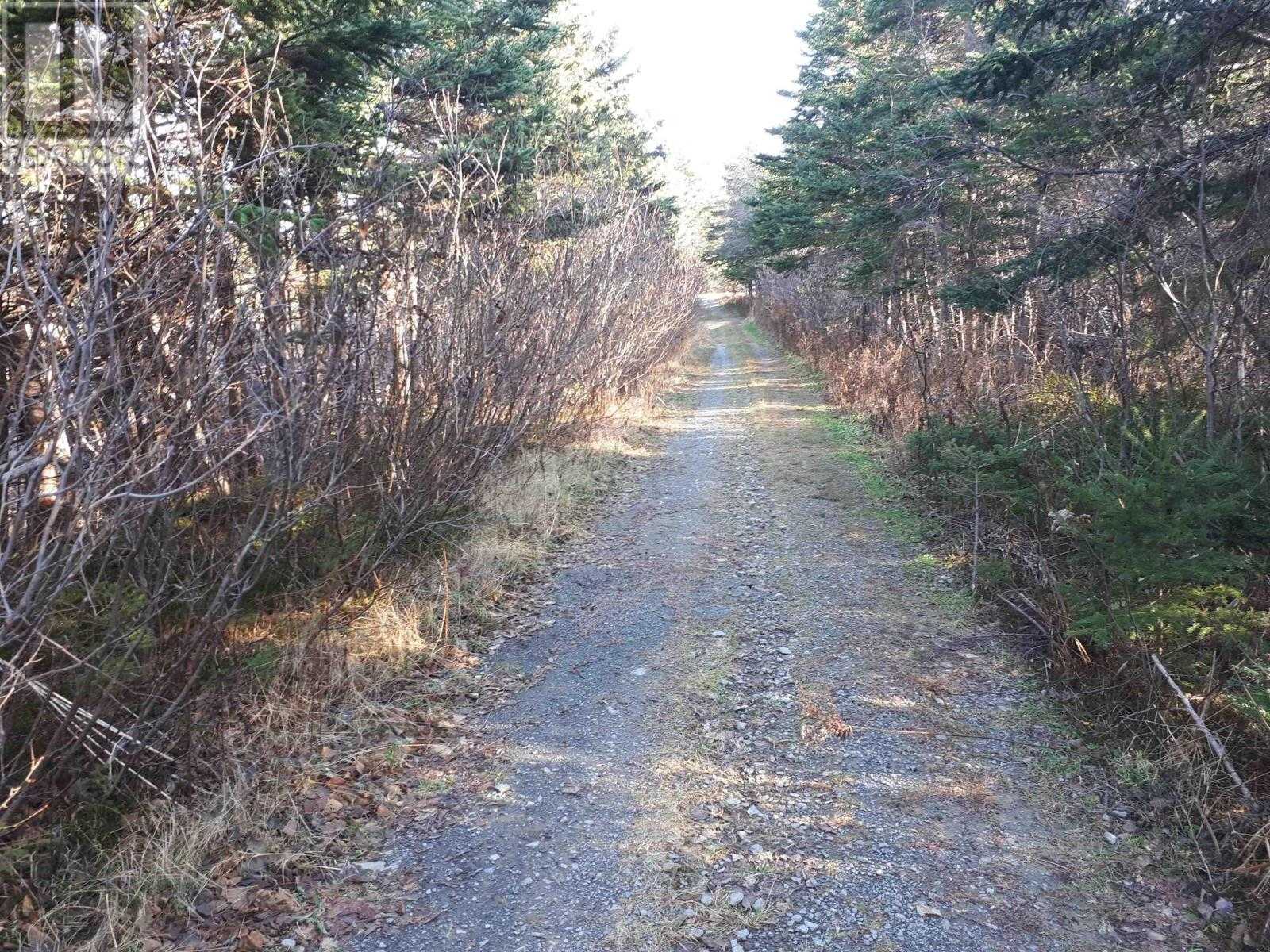 Land im Baddeck, Nova Scotia 10151774