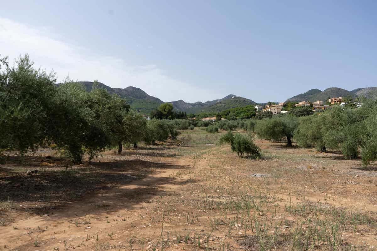 Land in Alhaurin de la Torre, Andalusia 10153471