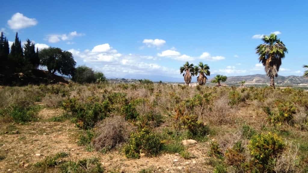 Tanah dalam Alhaurin de la Torre, Andalusia 10153474