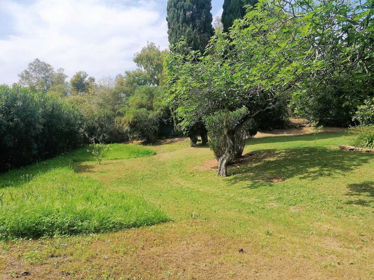 Land in El Angel, Andalusia 10158296