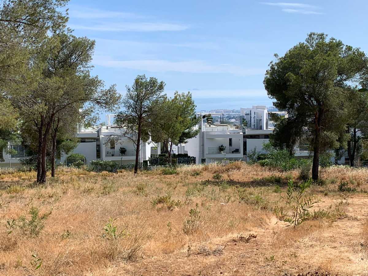 Land in El Angel, Andalusia 10158297