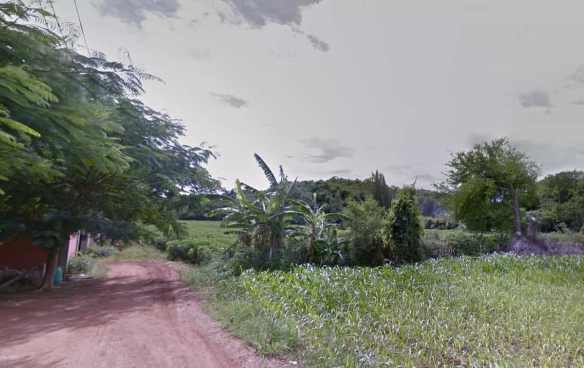 Land in Bueng Sam Phan, Phetchabun 10158998