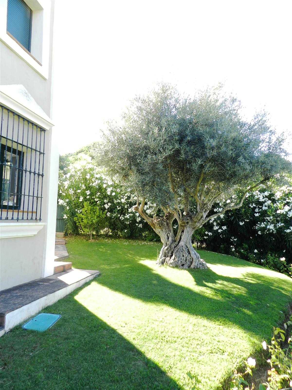 Casa nel Sotogrande, Andalusia 10163312