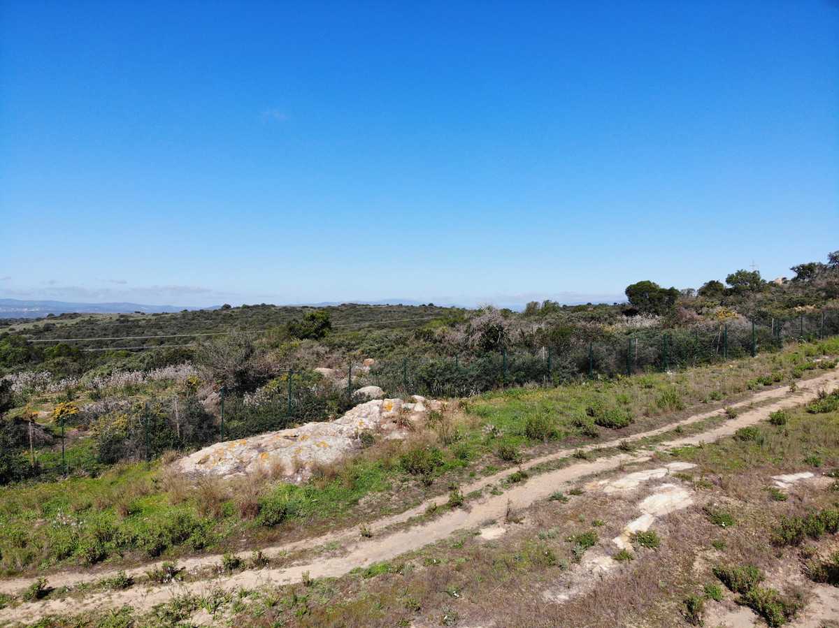Land in Sotogrande, Andalusia 10163424