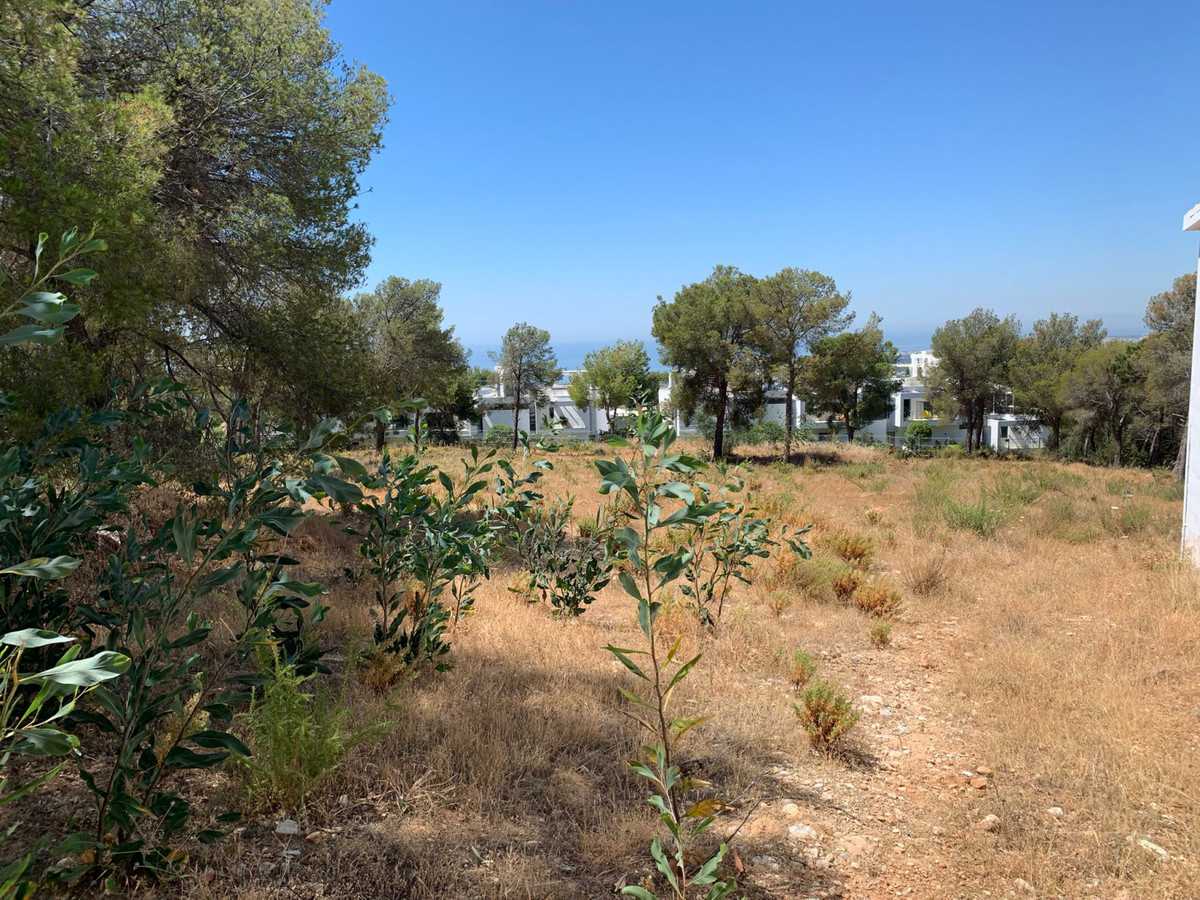 Land in El Angel, Andalusia 10164871