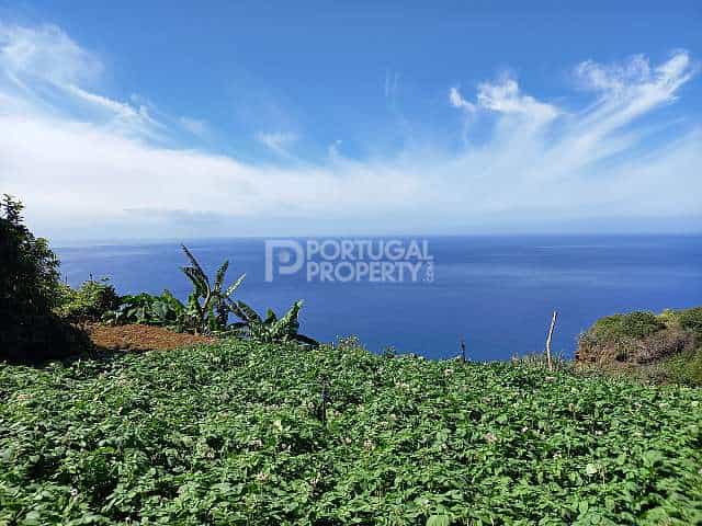 Land im Ponta Do Sol, Madeira 10166138
