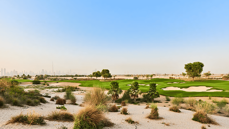 Tanah di Warisan, Dubai 10167071