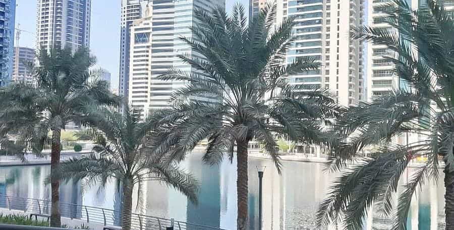 Andet i Dubai, Dubai 10167199