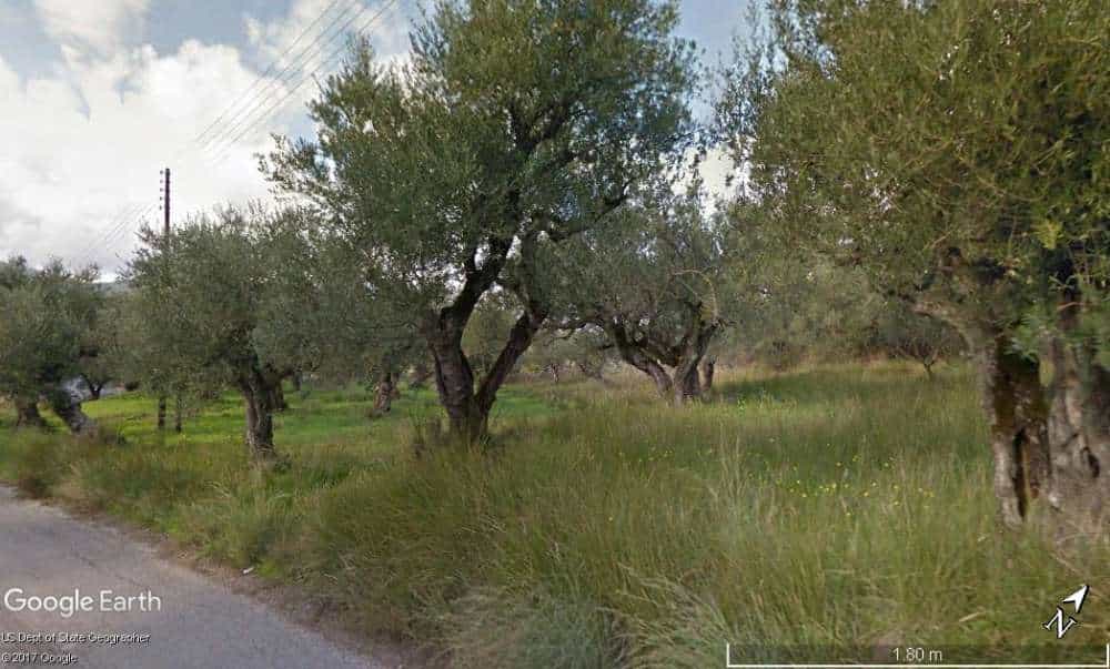 Tanah dalam Bochali, Ionia Nisia 10167498