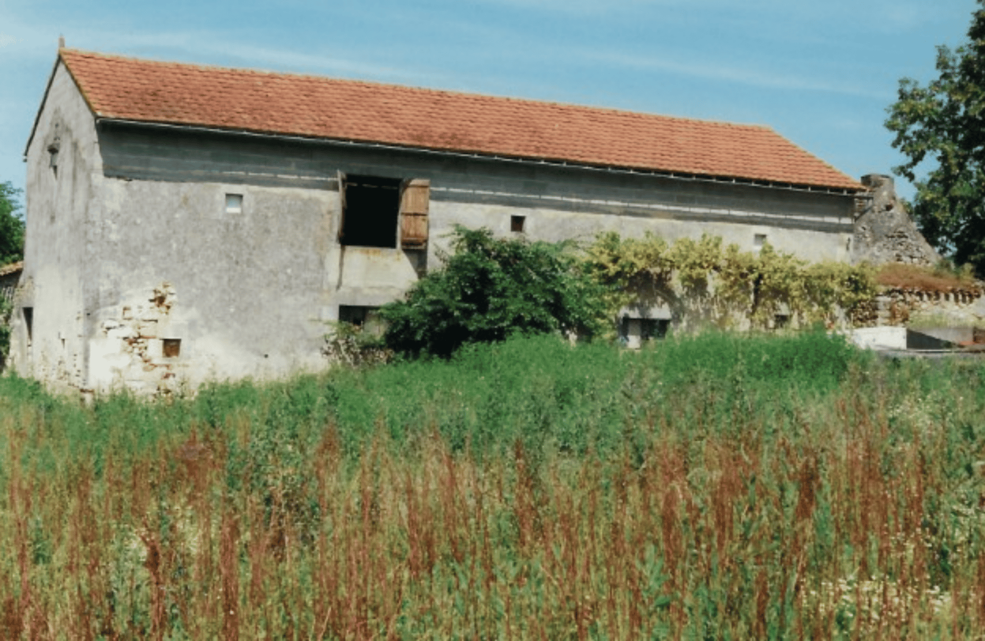 Hus i Saint-Cyprien, Nouvelle-Aquitaine 10167826