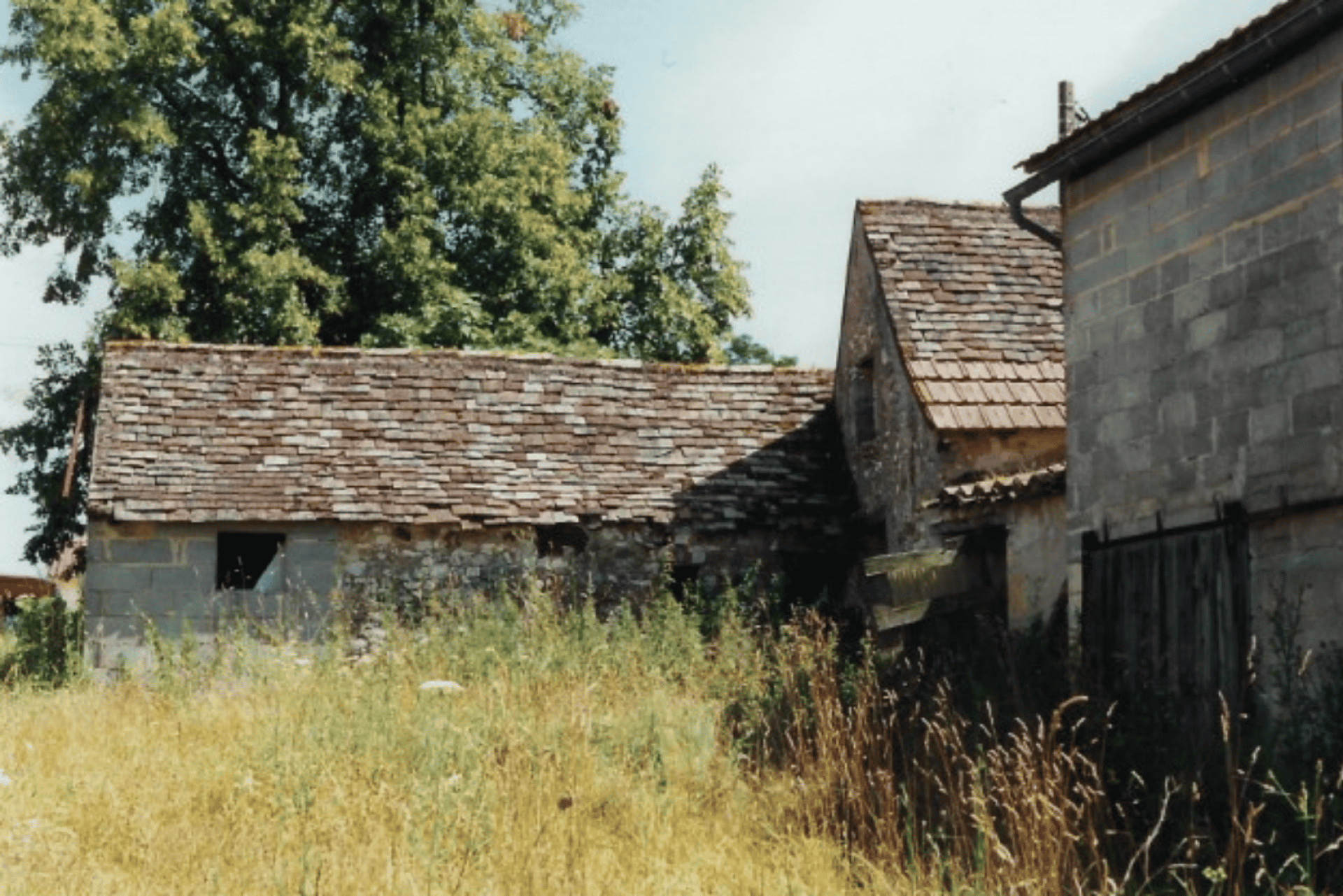 rumah dalam Saint-Cyprien, Nouvelle-Aquitaine 10167826