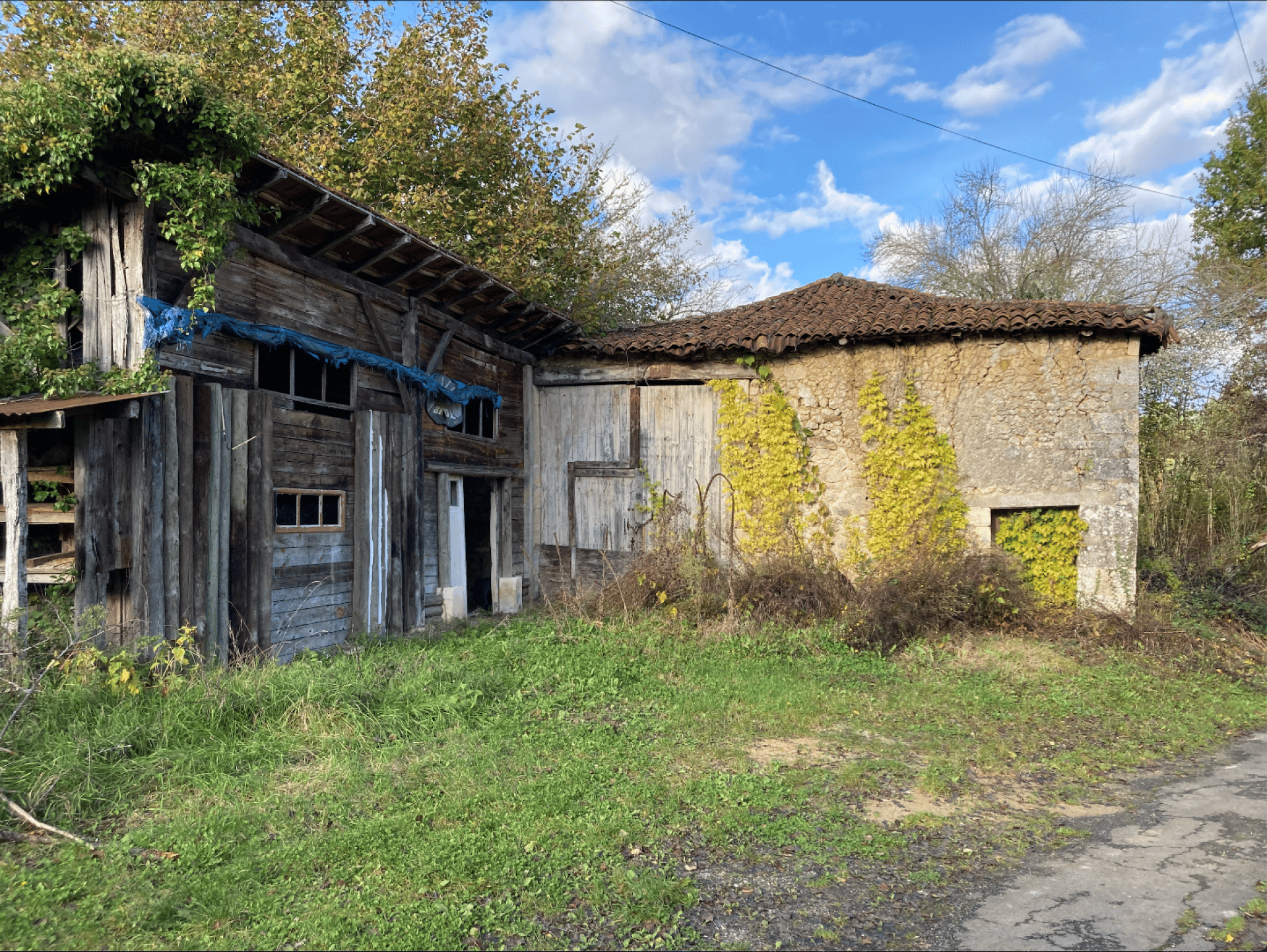 房子 在 Saint-Cyprien, Nouvelle-Aquitaine 10168018